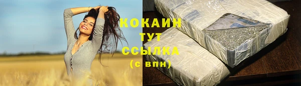 гашик Армянск