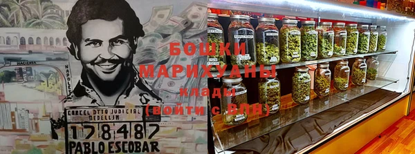 Альфа ПВП Аркадак