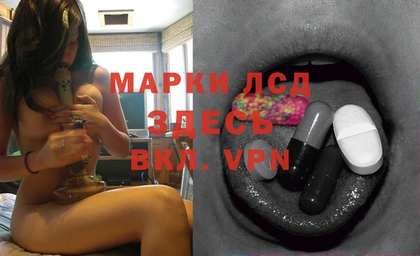 Альфа ПВП Аркадак