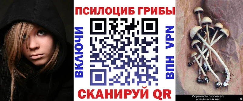 дарнет шоп  kraken   Галлюциногенные грибы Cubensis  Рошаль 